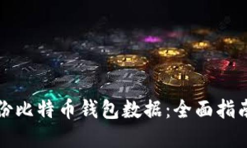 如何安全备份比特币钱包数据：全面指南与实用技巧