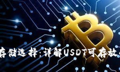 USDT币的存储选择：详解USDT可存放的钱包类型
