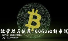 如何有效管理与使用100GB比特币钱包数据