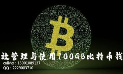 如何有效管理与使用100GB比特币钱包数据