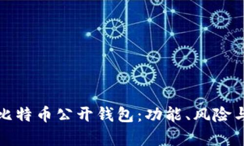 全面解析比特币公开钱包：功能、风险与管理技巧