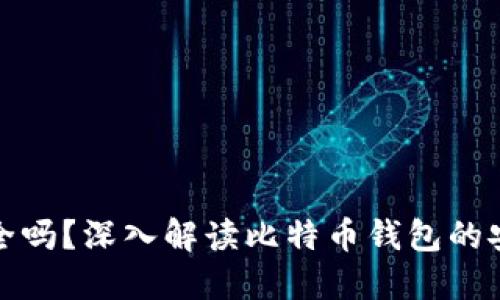 好比特币钱包安全吗？深入解读比特币钱包的安全性及最佳实践