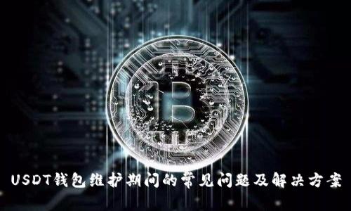 USDT钱包维护期间的常见问题及解决方案