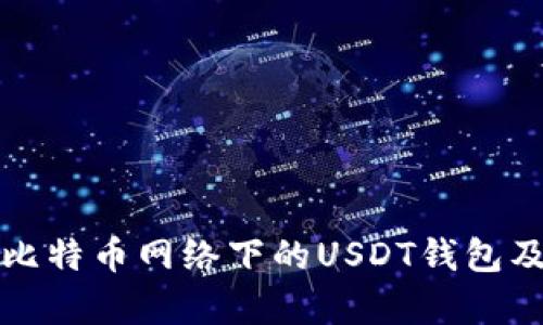 深入解析比特币网络下的USDT钱包及其安全性
