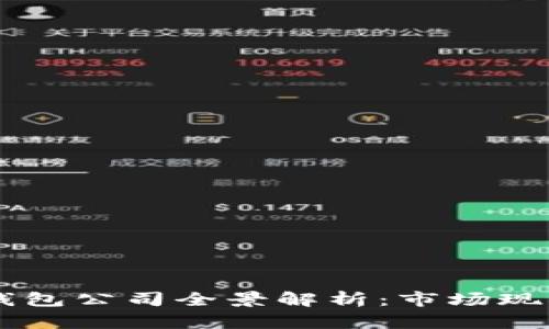 国内虚拟币钱包公司全景解析：市场现状与未来展望