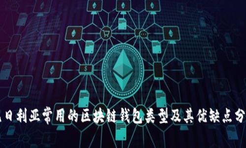 尼日利亚常用的区块链钱包类型及其优缺点分析