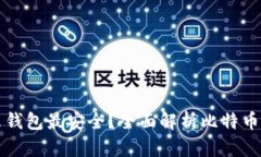比特币用什么钱包最安全？全面解析比特币钱包