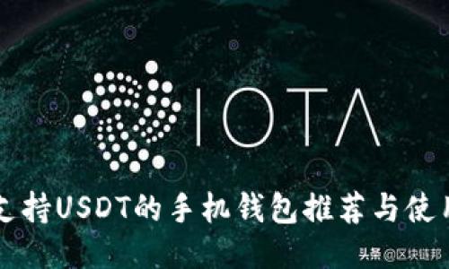 十大支持USDT的手机钱包推荐与使用指南