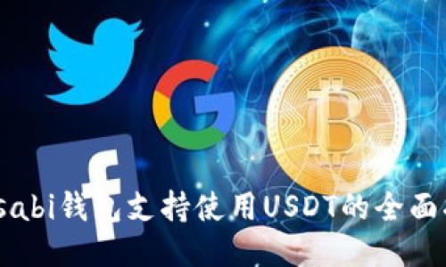 Wasabi钱包支持使用USDT的全面指南