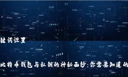 和关键词设置

:
揭开比特币钱包与私钥的神秘面纱：你需要知道的一切