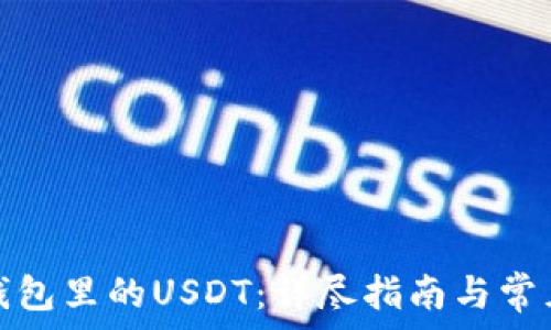   
如何找回钱包里的USDT：详尽指南与常见问题解答