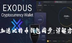 如何有效加速比特币钱包同步：详解方法与技巧