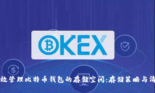 如何有效管理比特币钱包的存储空间：存储策略与清理指南