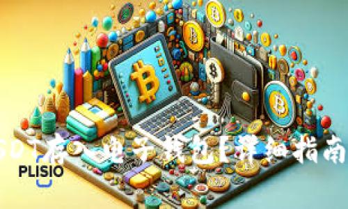 如何安全地将USDT存入电子钱包？详细指南与关键注意事项