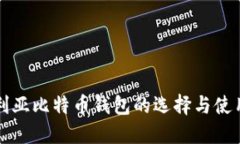 尼日利亚比特币钱包的选择与使用指南