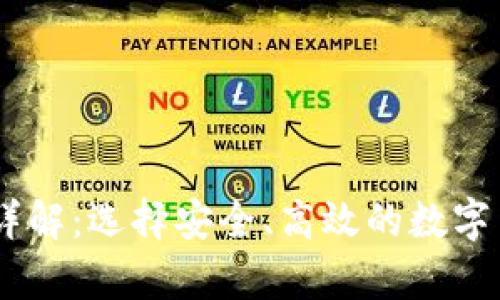 USDT主钱包详解：选择安全、高效的数字货币存储方案