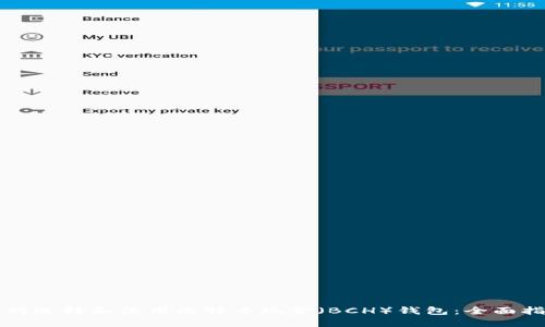 如何选择和使用比特币现金（BCH）钱包：全面指南