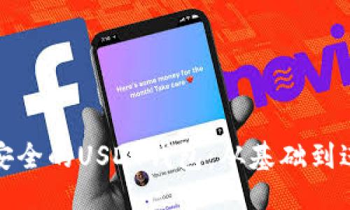 应该是：  
如何搭建安全的USDT钱包：从基础到进阶全攻略