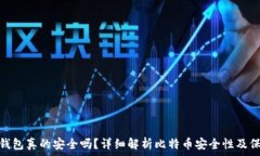   比特币钱包真的安全吗？详细解析比特币安全性