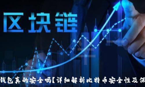   
比特币钱包真的安全吗？详细解析比特币安全性及保护措施