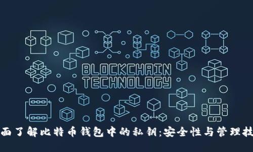 全面了解比特币钱包中的私钥：安全性与管理技巧