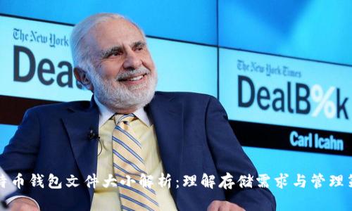 比特币钱包文件大小解析：理解存储需求与管理策略