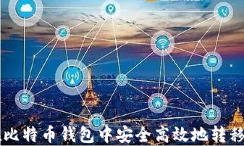 
如何在比特币钱包中安全高效地转移比特币