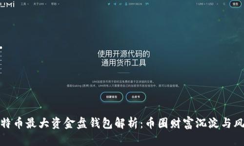 比特币最大资金盘钱包解析：币圈财富沉淀与风险