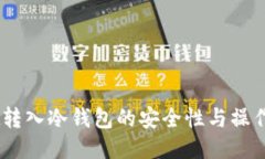 USDt转入冷钱包的安全性与操作指南