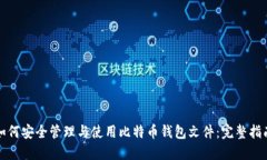 如何安全管理与使用比特币钱包文件：完整指南