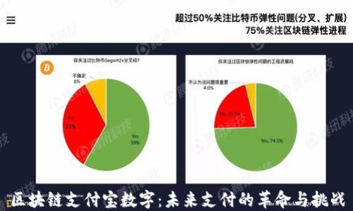 
区块链支付宝数字：未来支付的革命与挑战
